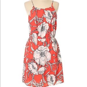 Pink Owl floral summer dress